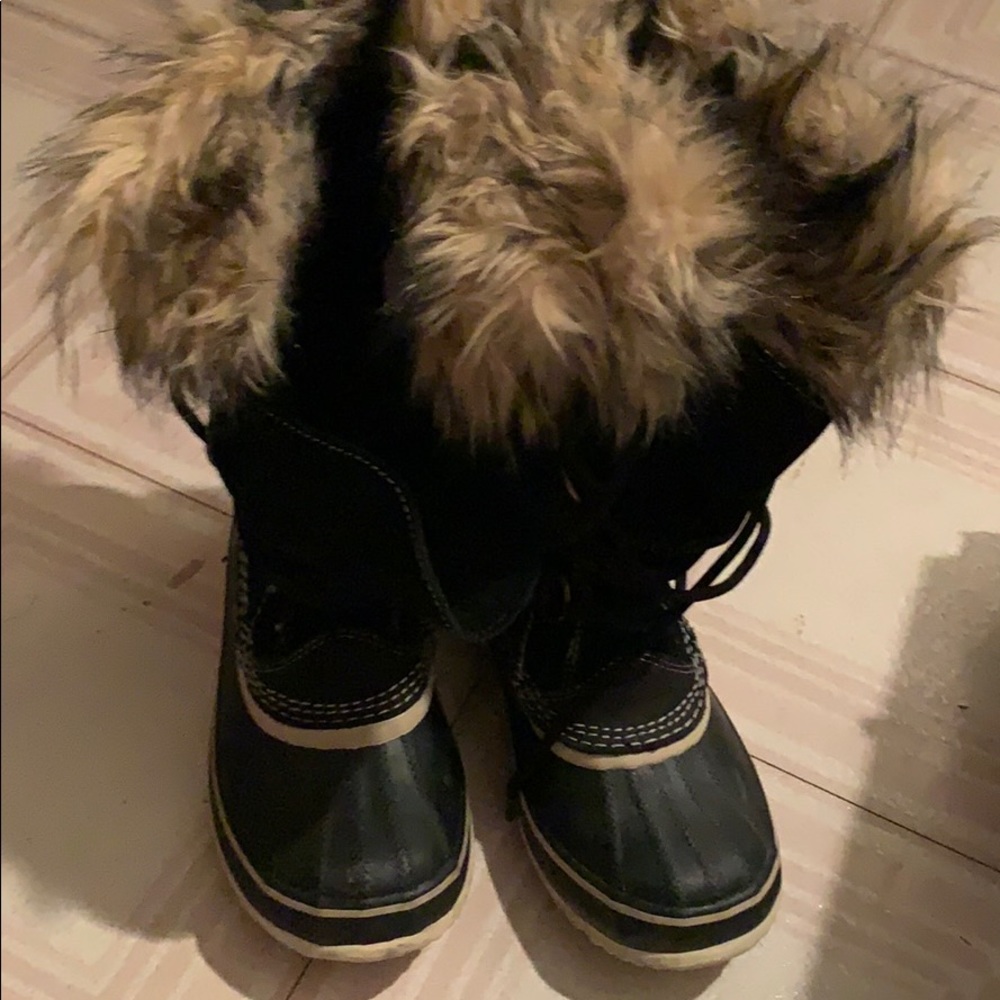 Joan of Arc Sorels